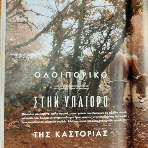 Gastronomos Magazine Issue 226 December 2024 like new