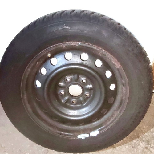 Snow tires used 205/60/16 with steel rims Toyota Avensis