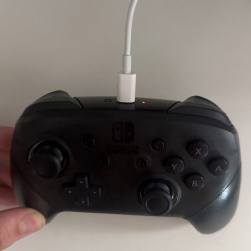 Nintendo Switch Pro Controller