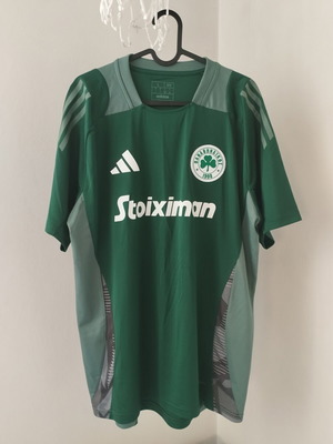 Panathinaikos Adidas Training Shirt 2024-2025 Large New