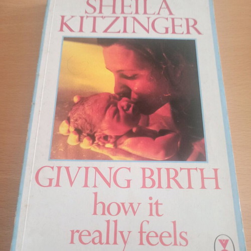 Giving Birth by Sheila Kitzinger English book like new