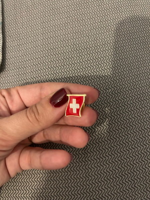 Switcherland Swiss pin new