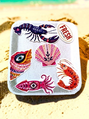 Sea Treasures Sticker Pack new, summer folk style