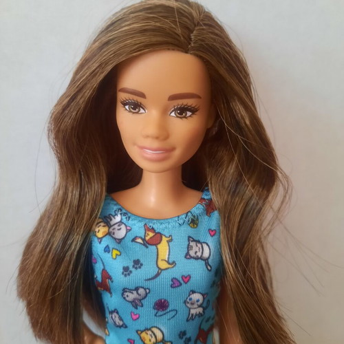 Barbie Fashionistas #97 Petite Doll with Pet Vet Dress