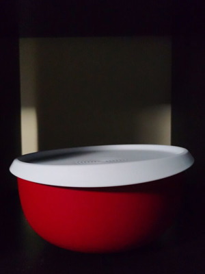Tupperware Blonsom container 2.5 liters new