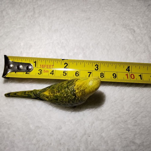 Green Budgie Schleich 14408 vintage 7 cm used