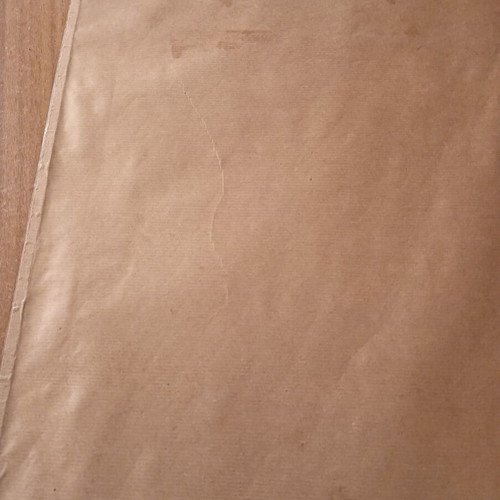 Papyrus in Frame like new