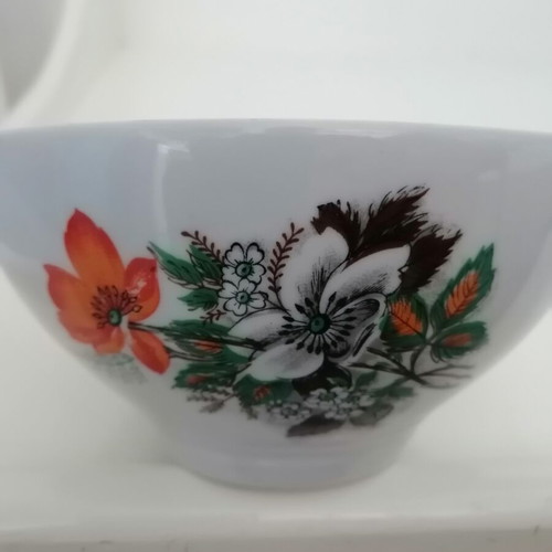 Porcelain bowls vintage set of two with floral pattern, like new