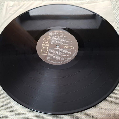 Rick Astley Hold Me In Your Arms LP like new, pop