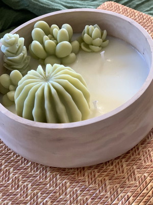 Χειροποίητο αρωματικό κερί Succulent Garden σε δοχείο πορσελάνης καινούργιο