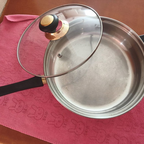 Empirestar 25cm stainless steel frying pan with glass lid, like new