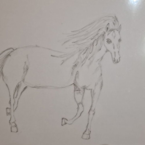 Magic Horse drawing new, pencil technique, laminated