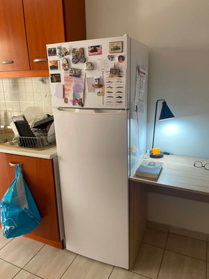 Robin refrigerator with freezer, 54x160x53 cm