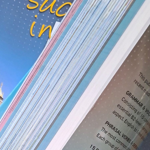 Success in ESB B2 Teacher's Book new