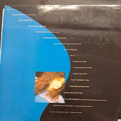 Gloria Estefan Into the Light LP
