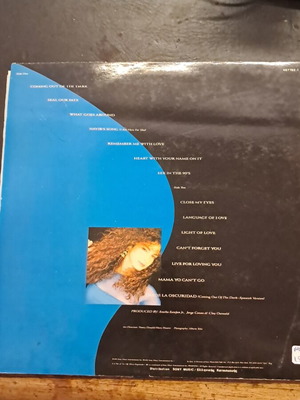 Gloria Estefan Into the Light LP