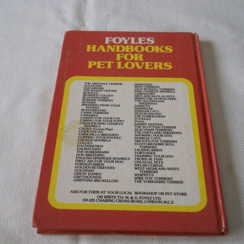 Irish Setters Susan M Edwins book used in good condition