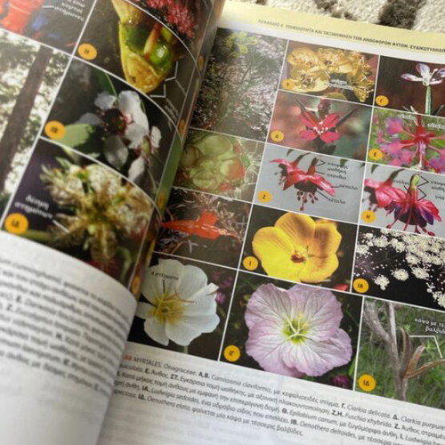 Book Systematic of Plants new university biology