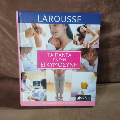 Larousse Everything About Pregnancy book like new