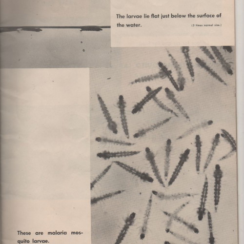 Malaria Control booklet used, 1941 edition