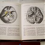  E.E Anatomia Umana, 3a Edizione, Hard Cover, edi-ermes