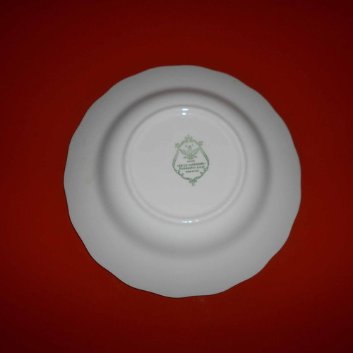 Vintage plate used ''Swiss Landscape'' 24 cm, made in Italy 1945