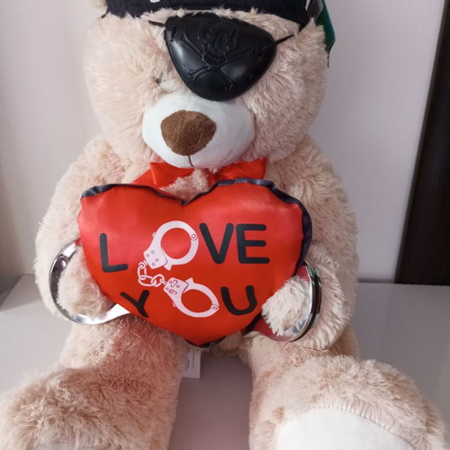 Valentine's plush teddy bear new pirate with gift A4 card