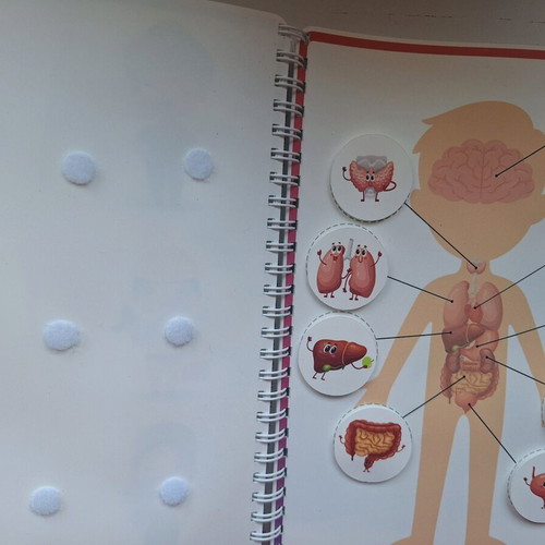 Montessori Activity Book like new