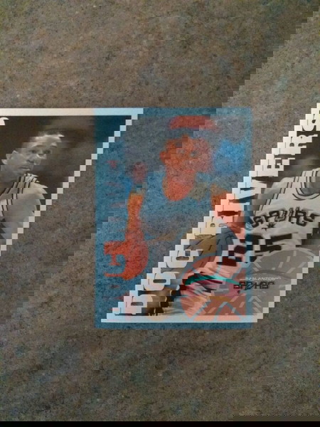 "...PANINI NBA BASKETBALL '95-'96 (No187)..."