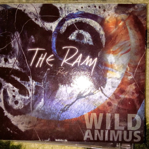 The Ram Rich Shapero CD used, folk rock with booklet
