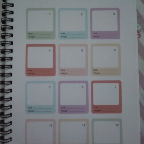 Weight Loss Tracker Book new