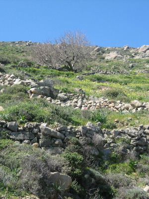 Αγροτεμάχιο στη Σέριφο 2.068 τ.μ. με θέα στο Αιγαίο