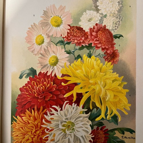 The Flower Grower's Guide used, John Wright, volume 3