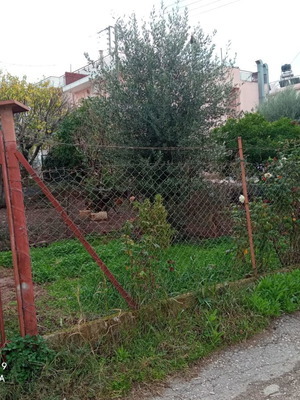 Οικόπεδο γωνιακό 145 τμ στον Οβριά Μεσσατίδας, οικοδομήσιμο