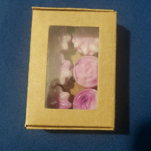 Soy wax melts, 6 pieces with apple cinnamon scent