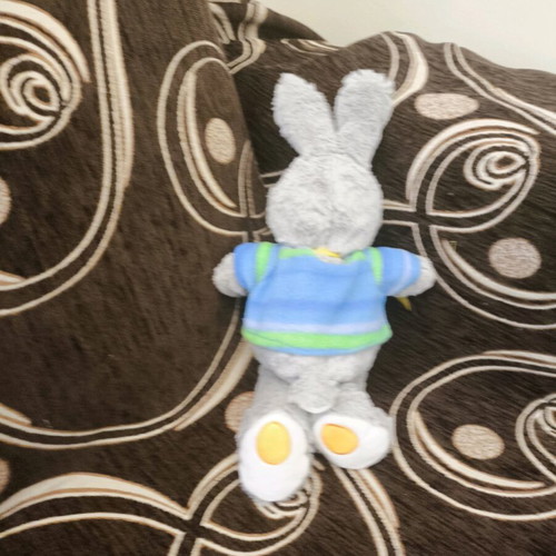 Plush Bunny new with chocolates and candies, Old MacDonald Had a Farm