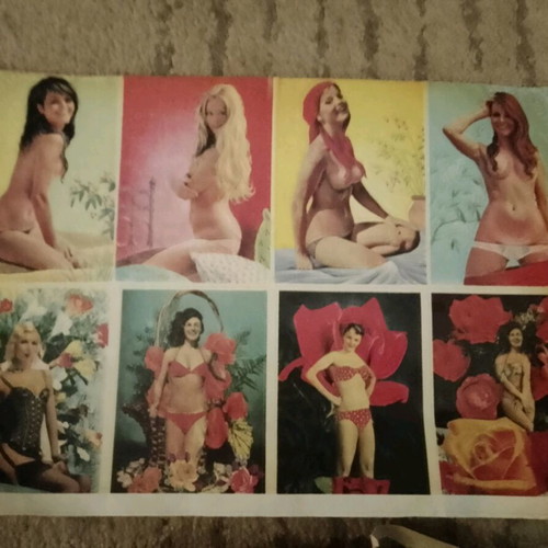 Vintage stickers new