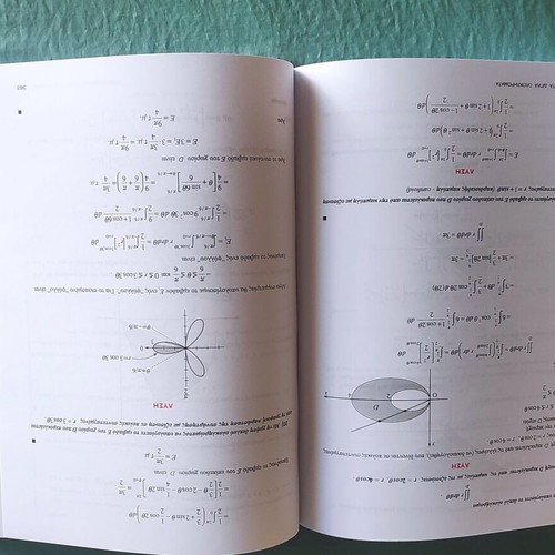 Mathematics II 2nd Edition Theory, Solved Exercises and Examples new