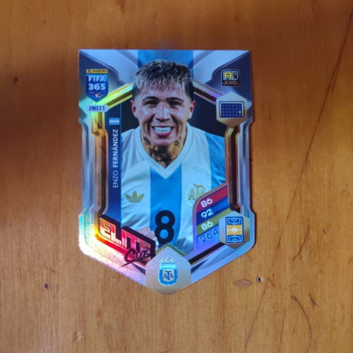 Enzo Fernandez Elite Panini Card new, original