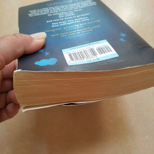 The Forgetting Time by Sharon Guskin used English book
