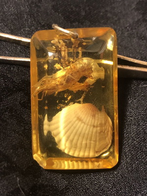 Vintage 1960s Egyptian pendant with embedded sea elements used