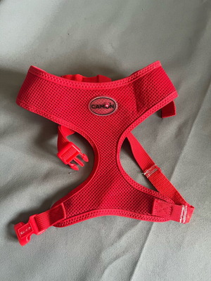 Camon dog harness size M new