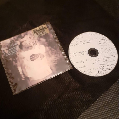PJ Harvey The Wind CD single used in excellent condition