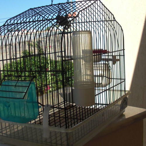 Bird cages new, set of 4, red and green with accessories