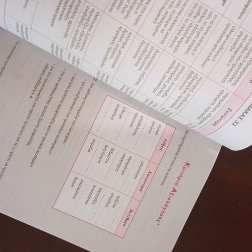 Essay Aid Fourth Grade like new, Greek
