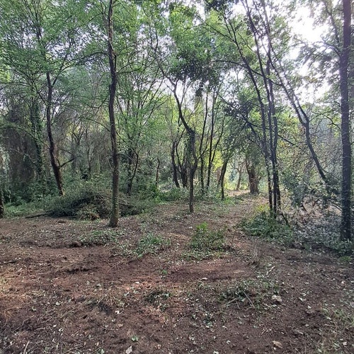 Land 5.6 stremma near Corfu city, buildable