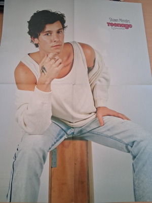 Shawn Mendes/The Weekend giant poster, new