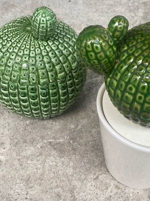 2 decorative cactus vases