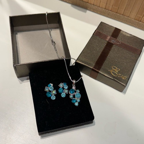 Jewelry set earrings necklace from Singapore like new
