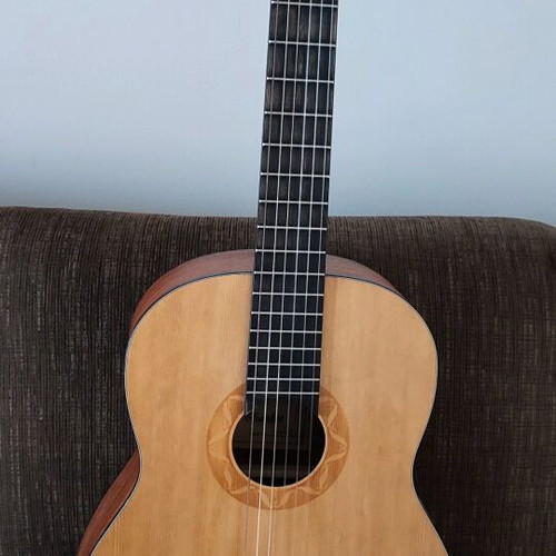 Classical guitar used, Explicit Model 901 3/4 with case